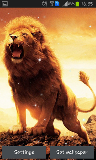 Full version of Android apk livewallpaper Lion for tablet and phone.