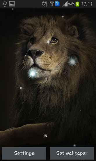 Full version of Android apk livewallpaper Lions for tablet and phone.