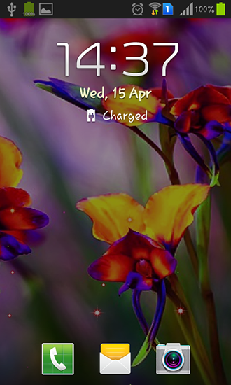 Full version of Android apk livewallpaper Little summer flowers for tablet and phone.