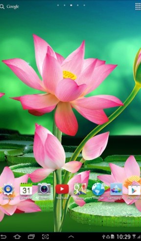 Full version of Android apk livewallpaper Lotus for tablet and phone.