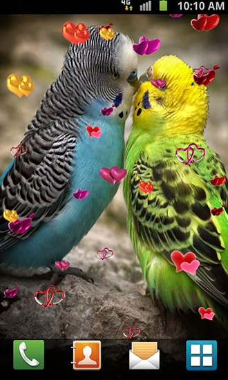 Full version of Android apk livewallpaper Love: Birds for tablet and phone.