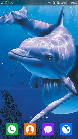 Full version of Android apk livewallpaper Lovely dolphin for tablet and phone.