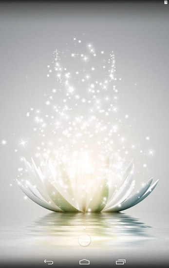 Full version of Android apk livewallpaper Magic water lilies for tablet and phone.