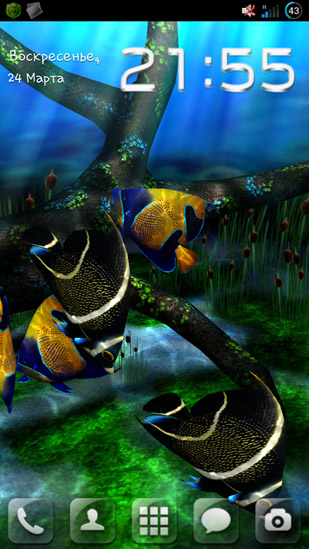 Full version of Android apk livewallpaper My 3D fish for tablet and phone.