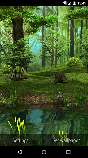 Full version of Android apk livewallpaper Nature 3D for tablet and phone.