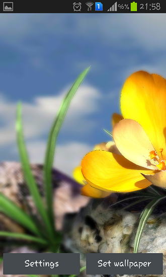 Full version of Android apk livewallpaper Nature live: Spring flowers 3D for tablet and phone.