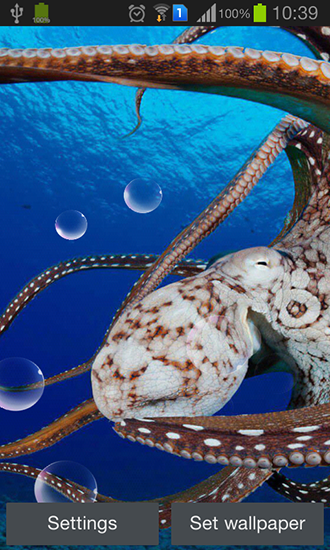 Full version of Android apk livewallpaper Octopus for tablet and phone.