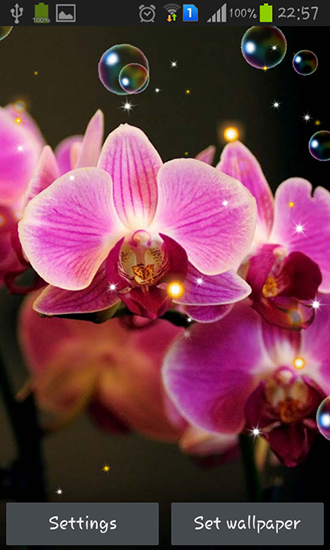 Full version of Android apk livewallpaper Orchid HD for tablet and phone.