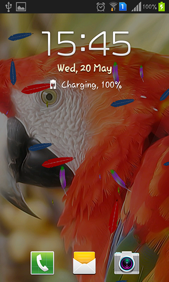 Full version of Android apk livewallpaper Parrot by TTR for tablet and phone.