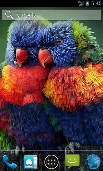 Full version of Android apk livewallpaper Parrot by Wpstar for tablet and phone.