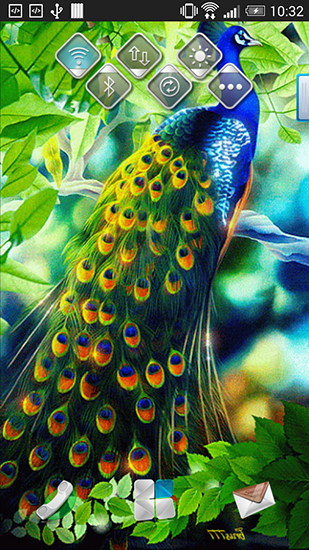 Full version of Android apk livewallpaper Peacock for tablet and phone.