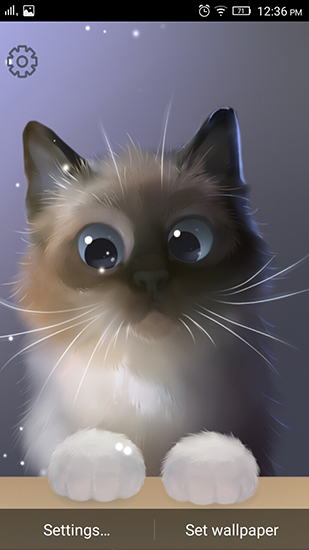 Full version of Android apk livewallpaper Peper the kitten for tablet and phone.