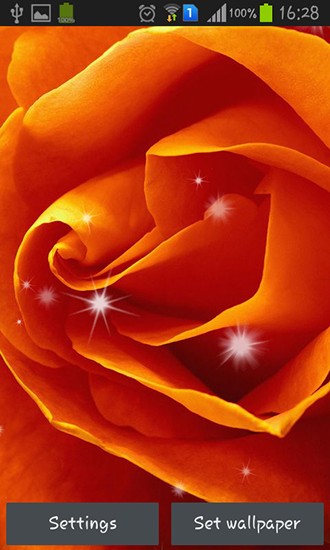 Full version of Android apk livewallpaper Petals for tablet and phone.