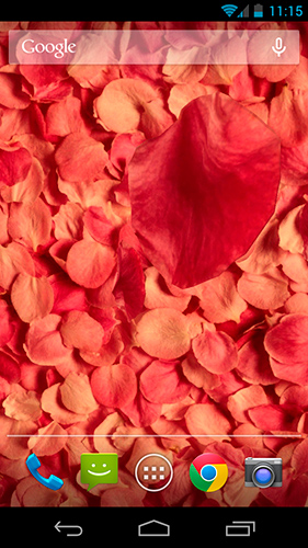 Full version of Android apk livewallpaper Petals 3D for tablet and phone.