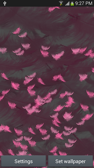 Full version of Android apk livewallpaper Pink feather for tablet and phone.