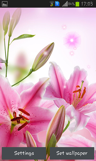 Full version of Android apk livewallpaper Pink flowers for tablet and phone.