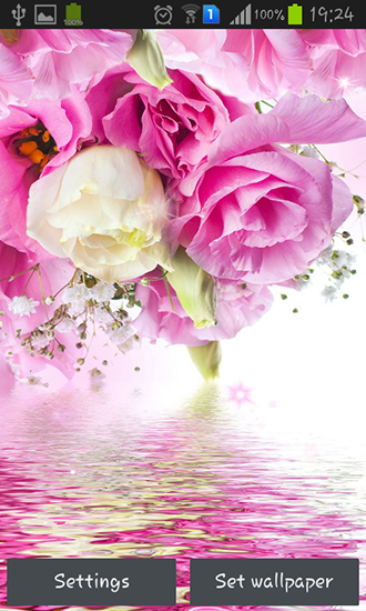 Full version of Android apk livewallpaper Pink roses for tablet and phone.