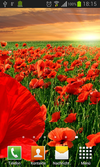 Full version of Android apk livewallpaper Poppies for tablet and phone.