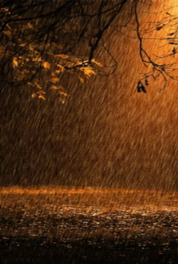 Full version of Android apk livewallpaper Rain animated for tablet and phone.
