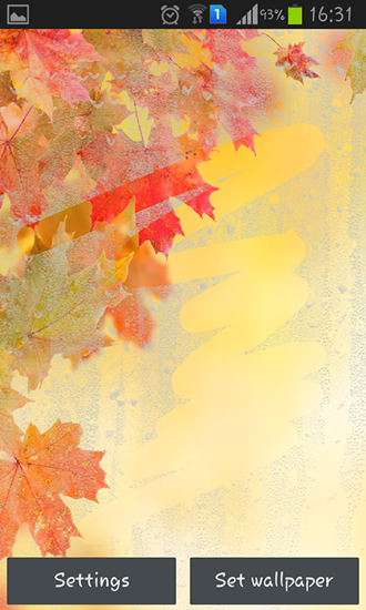 Full version of Android apk livewallpaper Rainy autumn for tablet and phone.