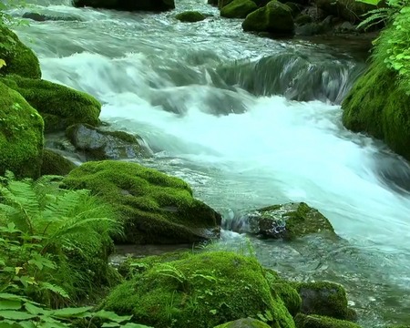 Full version of Android apk livewallpaper River flow for tablet and phone.