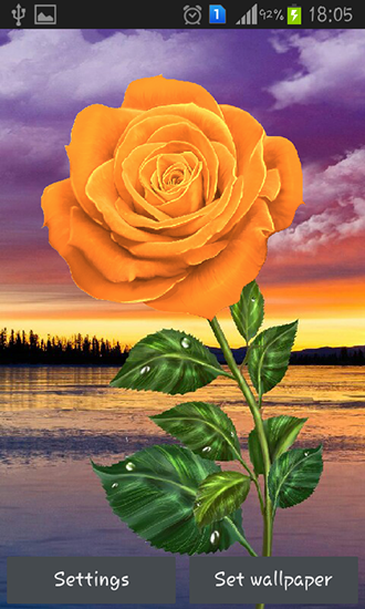Full version of Android apk livewallpaper Rose: Magic touch for tablet and phone.