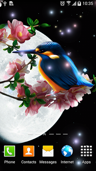 Full version of Android apk livewallpaper Sakura and bird for tablet and phone.
