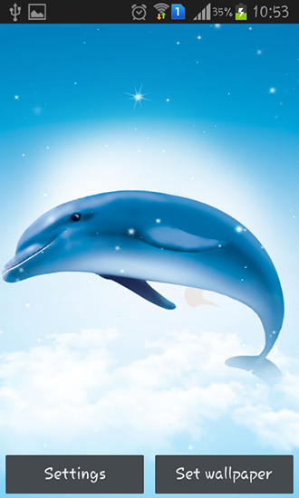 Full version of Android apk livewallpaper Sea dolphin for tablet and phone.