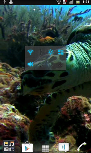 Full version of Android apk livewallpaper Sea turtle for tablet and phone.