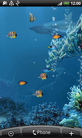 Full version of Android apk livewallpaper Shark reef for tablet and phone.
