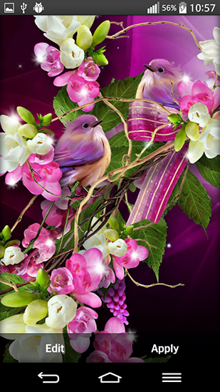 Full version of Android apk livewallpaper Shiny flowers for tablet and phone.