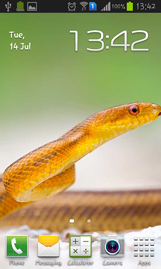 Full version of Android apk livewallpaper Snakes for tablet and phone.