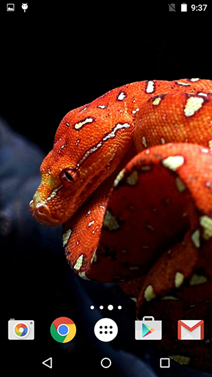 Full version of Android apk livewallpaper Snakes by Fun live wallpapers for tablet and phone.