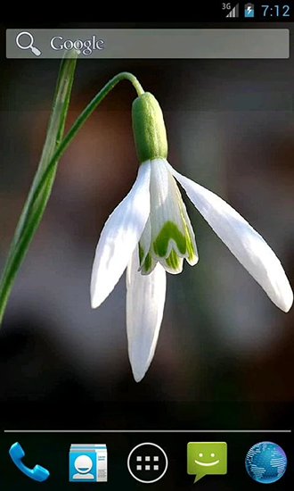 Full version of Android apk livewallpaper Snowdrops by Wpstar for tablet and phone.