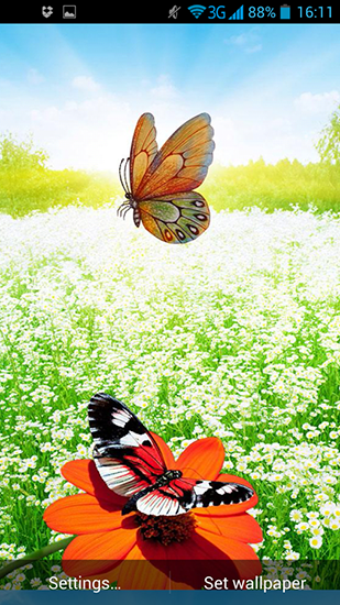 Full version of Android apk livewallpaper Spring butterflies for tablet and phone.