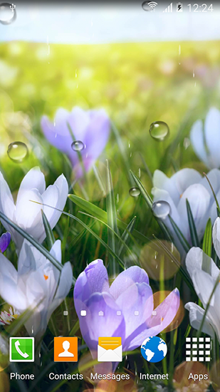 Full version of Android apk livewallpaper Spring flowers for tablet and phone.