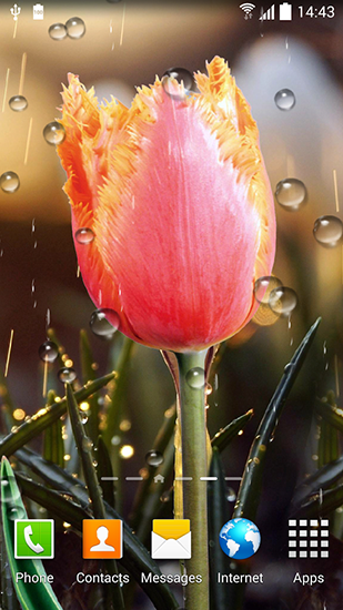 Full version of Android apk livewallpaper Spring flowers 3D for tablet and phone.