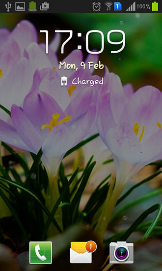 Full version of Android apk livewallpaper Spring flowers: Rain for tablet and phone.
