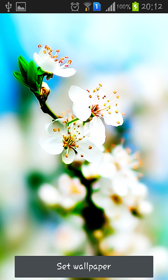 Full version of Android apk livewallpaper Spring is coming for tablet and phone.