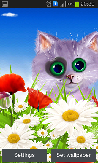 Full version of Android apk livewallpaper Spring: Kitten for tablet and phone.