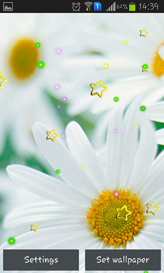 Full version of Android apk livewallpaper Summer camomile for tablet and phone.