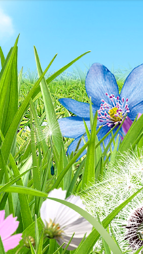 Full version of Android apk livewallpaper Summer flowers for tablet and phone.