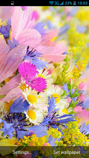 Full version of Android apk livewallpaper Summer Flowers by Dynamic Live Wallpapers for tablet and phone.