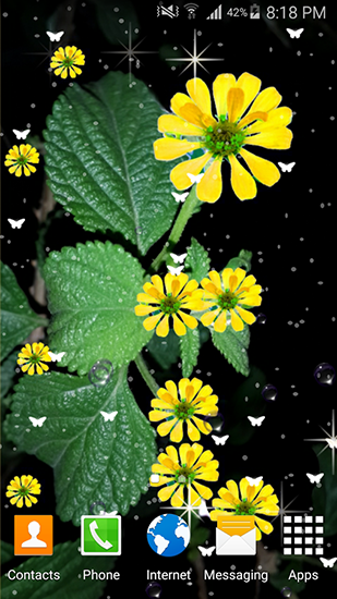 Full version of Android apk livewallpaper Summer flowers by Stechsolutions for tablet and phone.