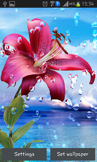 Summer Rain Flowers Live Wallpaper Free Download For Android