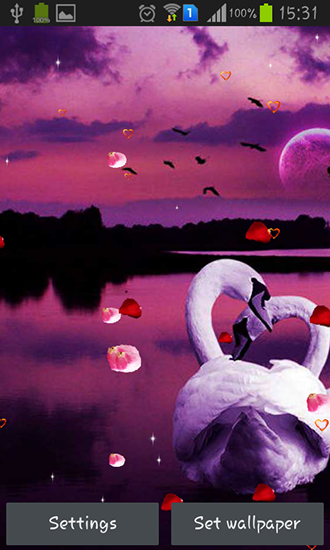 Full version of Android apk livewallpaper Swans: Love for tablet and phone.