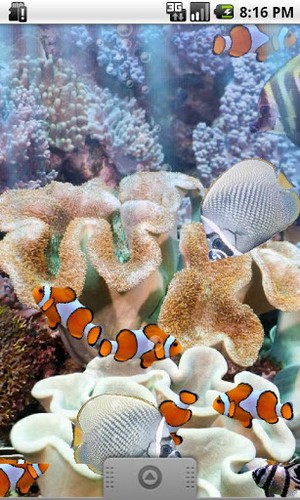 Full version of Android apk livewallpaper The real aquarium for tablet and phone.