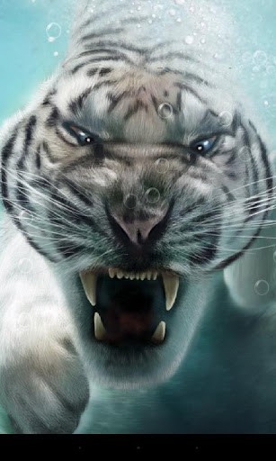 Full version of Android apk livewallpaper Tiger for tablet and phone.