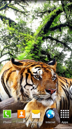 Full version of Android apk livewallpaper Tiger by Amax LWPS for tablet and phone.