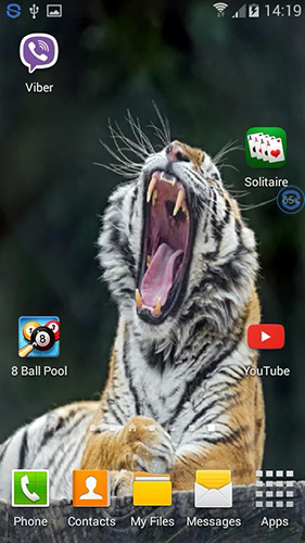 Full version of Android apk livewallpaper Tigers: shake and change for tablet and phone.